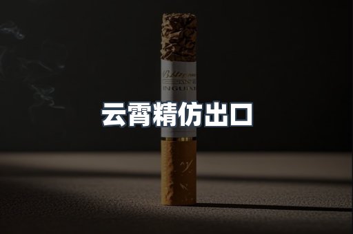 云霄精仿出口