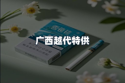 广西越代特供
